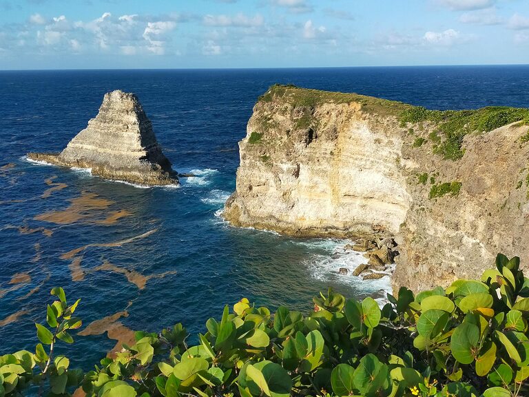 Dominica